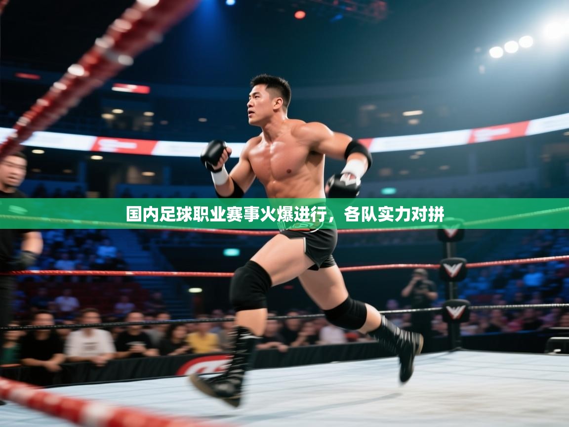 国内足球职业赛事火爆进行,各队实力对拼 第1张