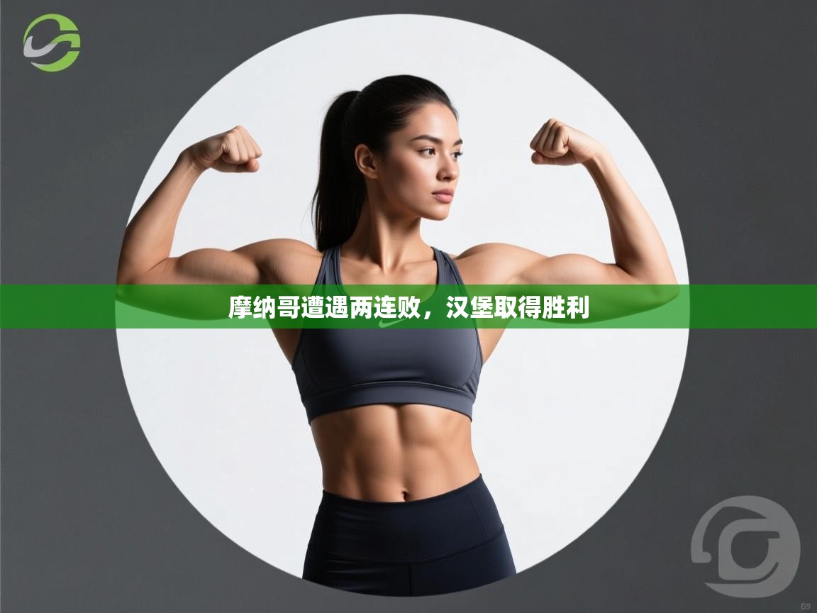 摩纳哥遭遇两连败,汉堡取得胜利 第2张