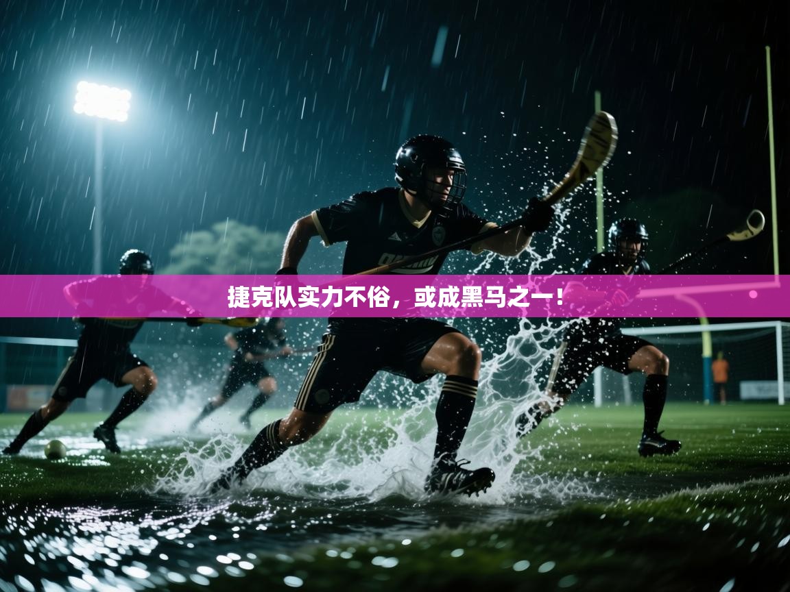 捷克队实力不俗,或成黑马之一! 第2张