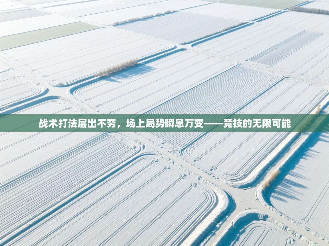 战术打法层出不穷，场上局势瞬息万变——竞技的无限可能  第1张