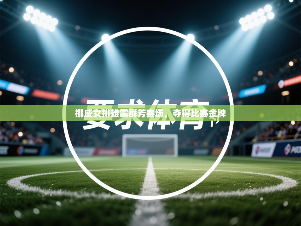 挪威女排雄霸群芳赛场，夺得比赛金牌  第2张