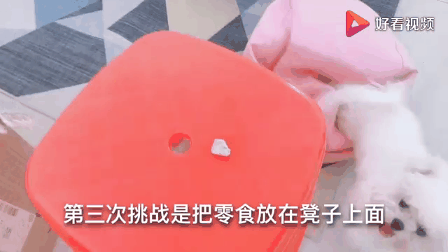 江苏队意外惜败，势如破竹遭挑战的简单介绍
